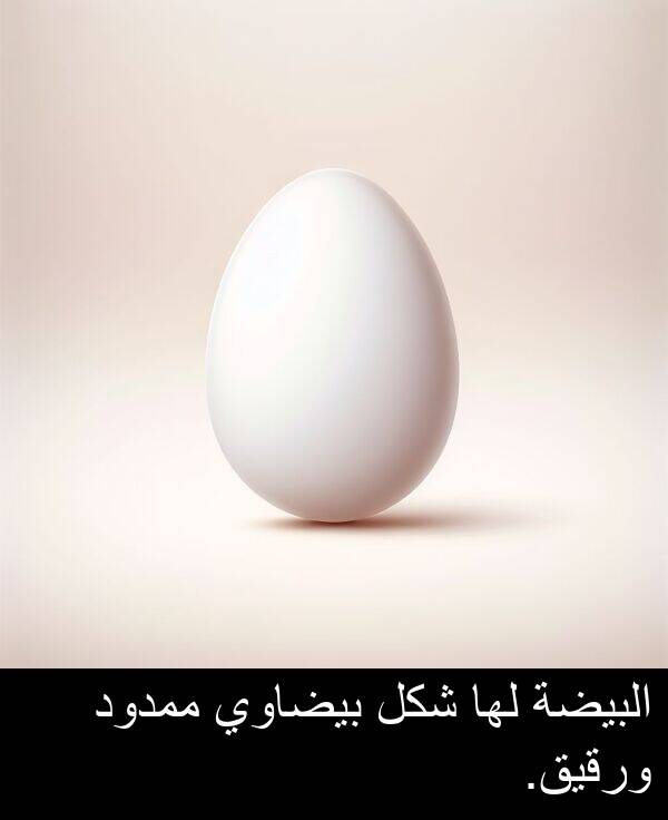 شكل: البيضة لها شكل بيضاوي ممدود ورقيق.