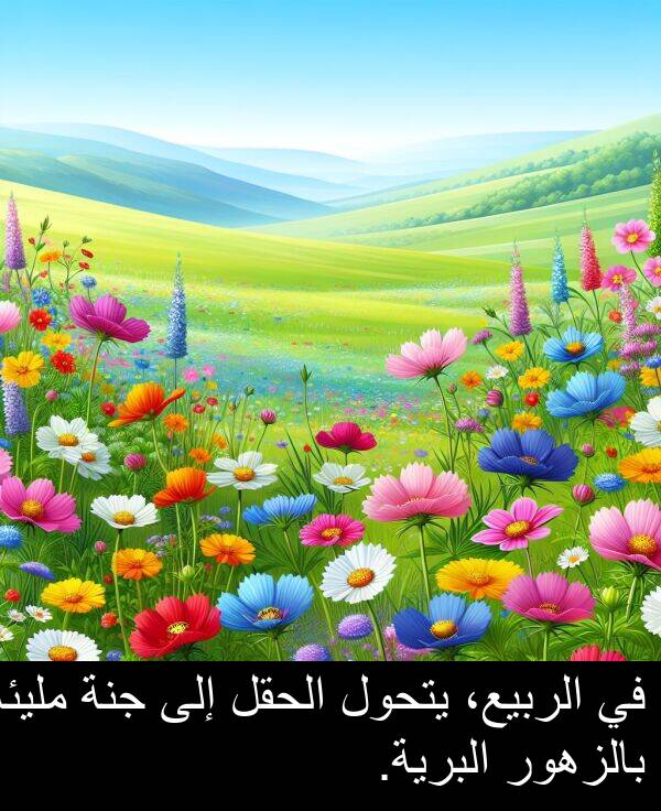 بالزهور: في الربيع، يتحول الحقل إلى جنة مليئة بالزهور البرية.