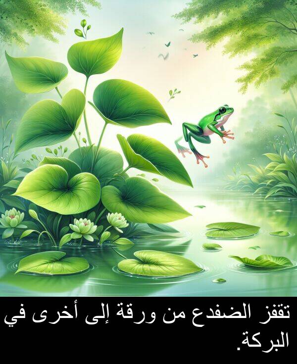 الضفدع: تقفز الضفدع من ورقة إلى أخرى في البركة.