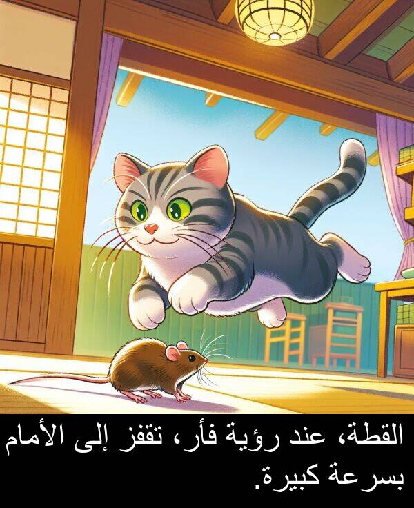 كبيرة: القطة، عند رؤية فأر، تقفز إلى الأمام بسرعة كبيرة.
