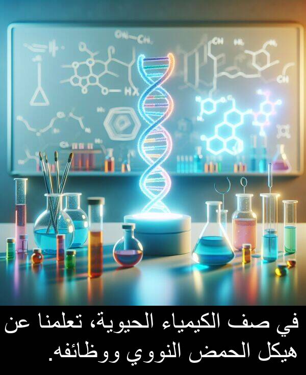 هيكل: في صف الكيمياء الحيوية، تعلمنا عن هيكل الحمض النووي ووظائفه.