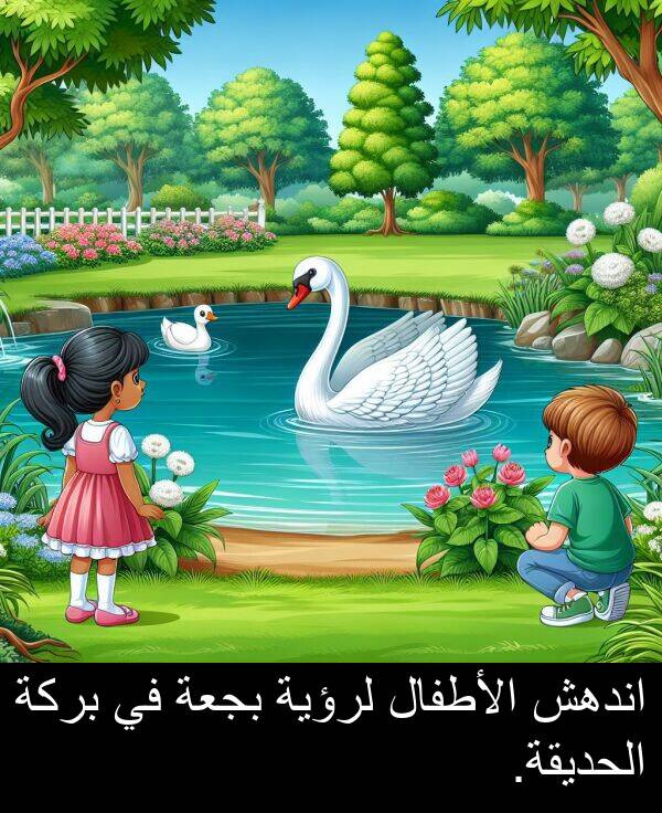 لرؤية: اندهش الأطفال لرؤية بجعة في بركة الحديقة.