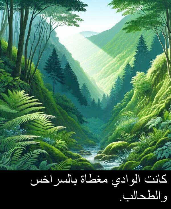 بالسراخس: كانت الوادي مغطاة بالسراخس والطحالب.