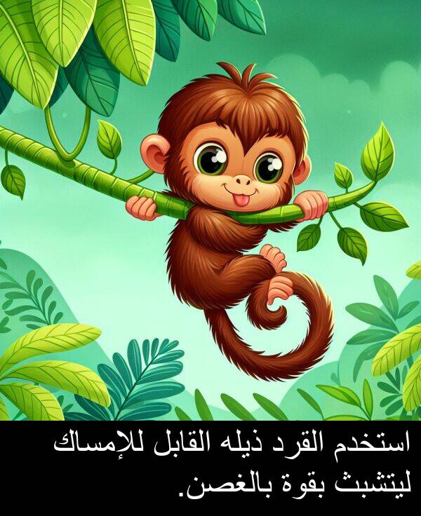 استخدم: استخدم القرد ذيله القابل للإمساك ليتشبث بقوة بالغصن.