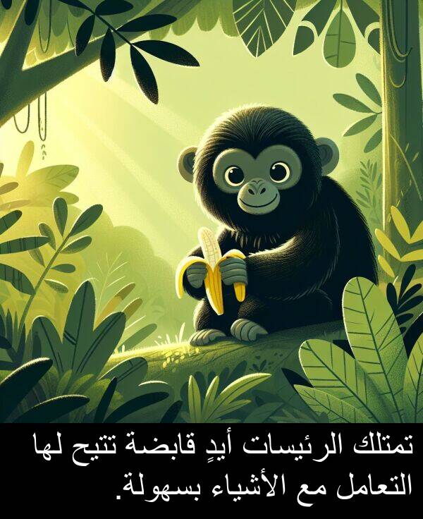 قابضة: تمتلك الرئيسات أيدٍ قابضة تتيح لها التعامل مع الأشياء بسهولة.