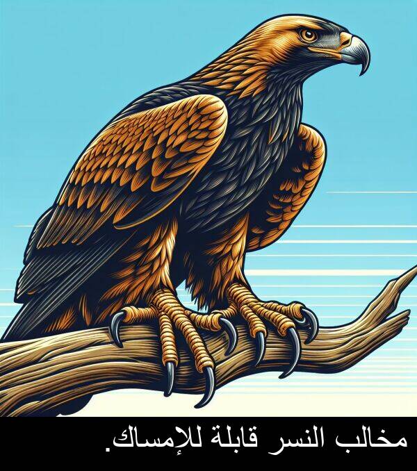 قابلة: مخالب النسر قابلة للإمساك.