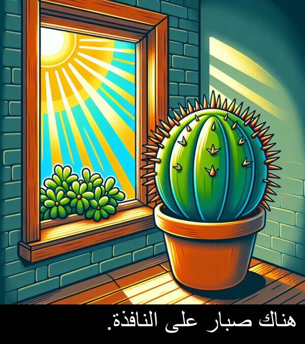 صبار: هناك صبار على النافذة.