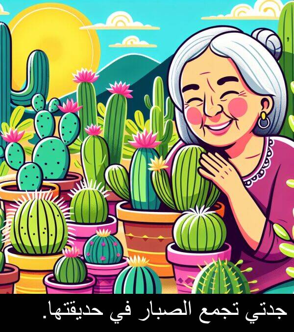 جدتي: جدتي تجمع الصبار في حديقتها.