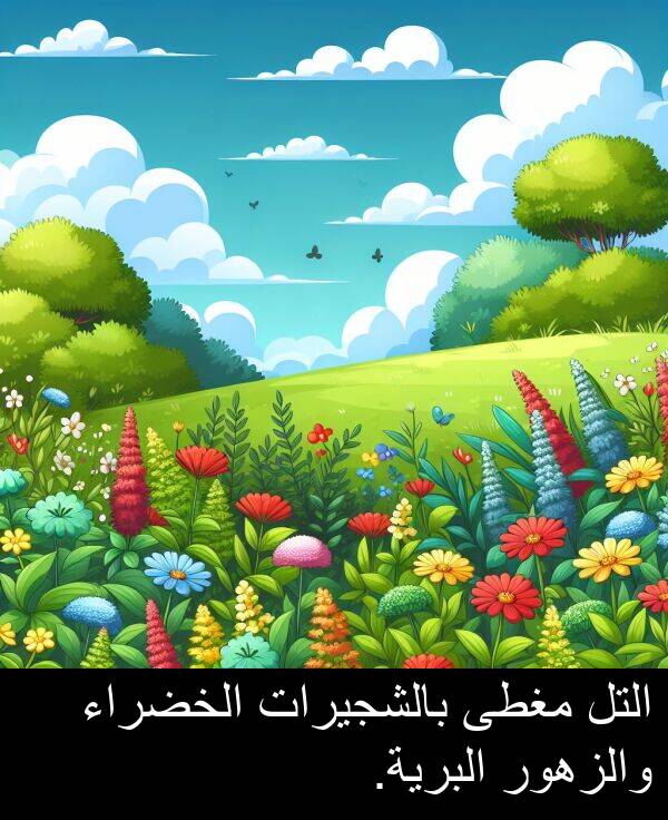 بالشجيرات: التل مغطى بالشجيرات الخضراء والزهور البرية.