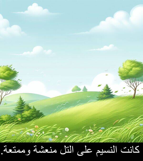 التل: كانت النسيم على التل منعشة وممتعة.