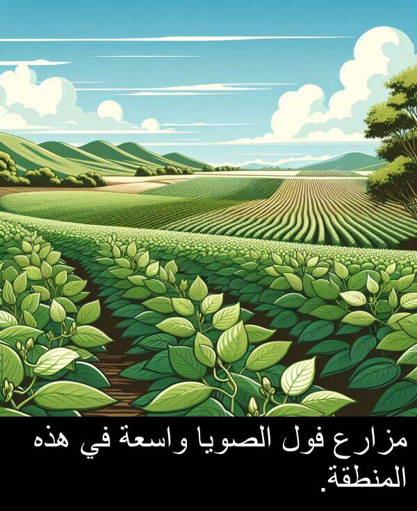 هذه: مزارع فول الصويا واسعة في هذه المنطقة.