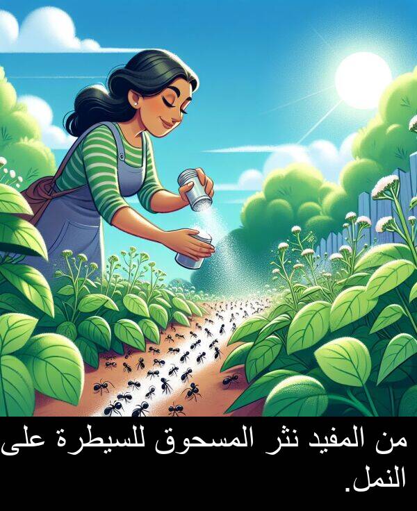 للسيطرة: من المفيد نثر المسحوق للسيطرة على النمل.