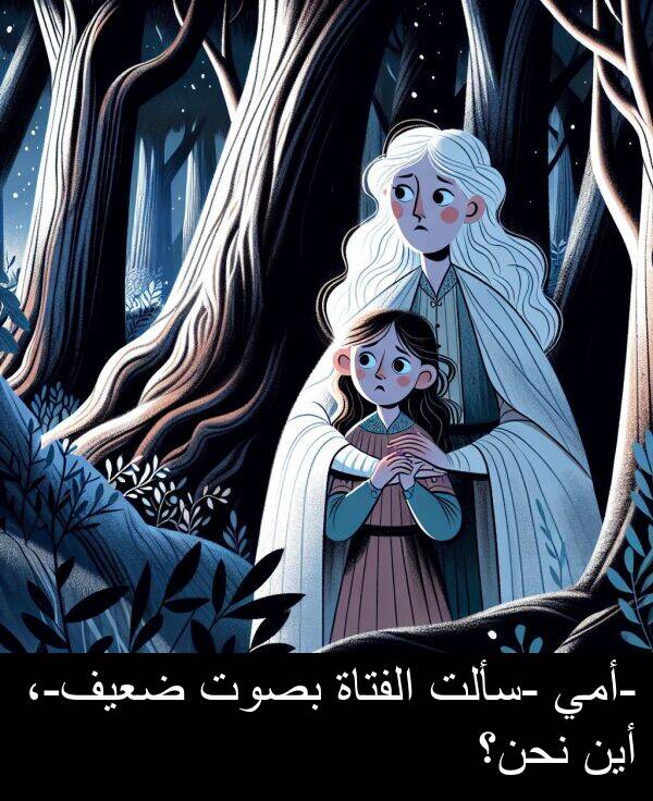 الفتاة: -أمي -سألت الفتاة بصوت ضعيف-، أين نحن؟