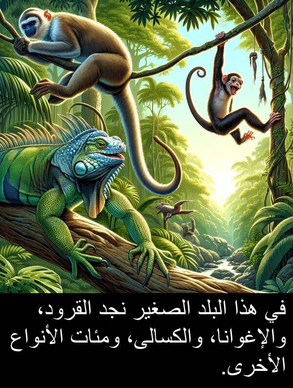 والإغوانا،: في هذا البلد الصغير نجد القرود، والإغوانا، والكسالى، ومئات الأنواع الأخرى.