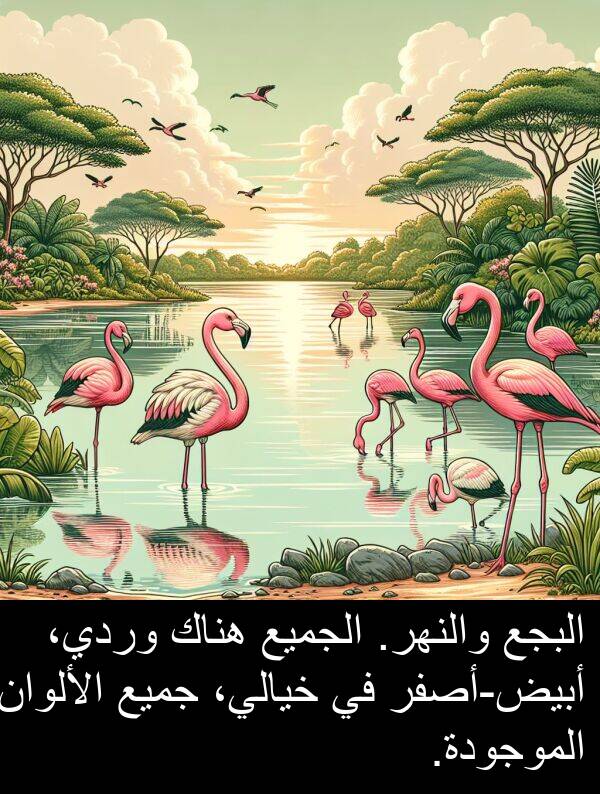 خيالي،: البجع والنهر. الجميع هناك وردي، أبيض-أصفر في خيالي، جميع الألوان الموجودة.