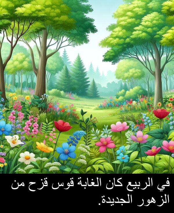 قزح: في الربيع كان الغابة قوس قزح من الزهور الجديدة.