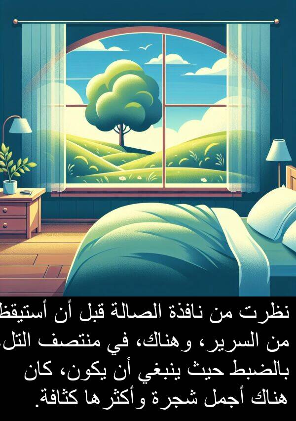 أستيقظ: نظرت من نافذة الصالة قبل أن أستيقظ من السرير، وهناك، في منتصف التل، بالضبط حيث ينبغي أن يكون، كان هناك أجمل شجرة وأكثرها كثافة.