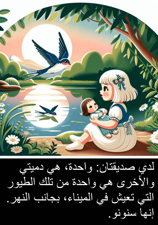 صديقتان: لدي صديقتان: واحدة، هي دميتي والأخرى هي واحدة من تلك الطيور التي تعيش في الميناء، بجانب النهر. إنها سنونو.