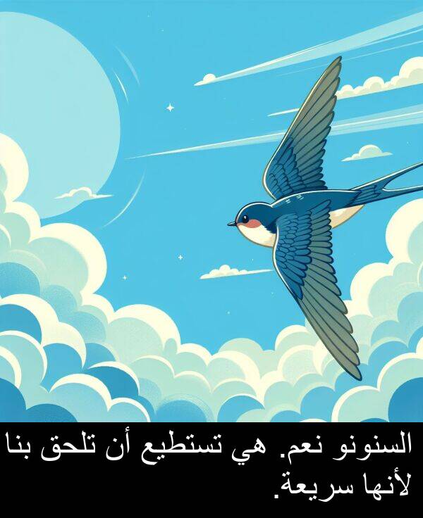 لأنها: السنونو نعم. هي تستطيع أن تلحق بنا لأنها سريعة.