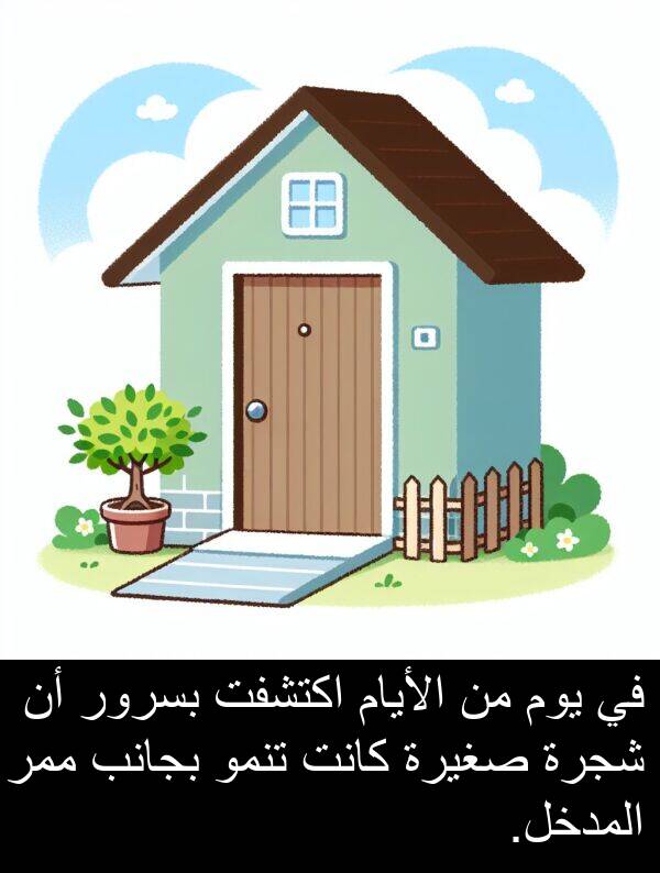 صغيرة: في يوم من الأيام اكتشفت بسرور أن شجرة صغيرة كانت تنمو بجانب ممر المدخل.