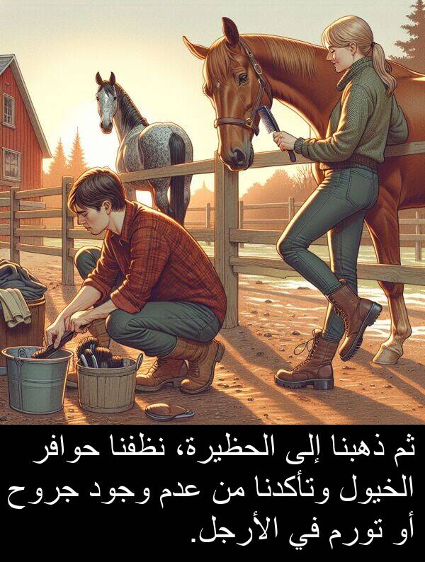عدم: ثم ذهبنا إلى الحظيرة، نظفنا حوافر الخيول وتأكدنا من عدم وجود جروح أو تورم في الأرجل.