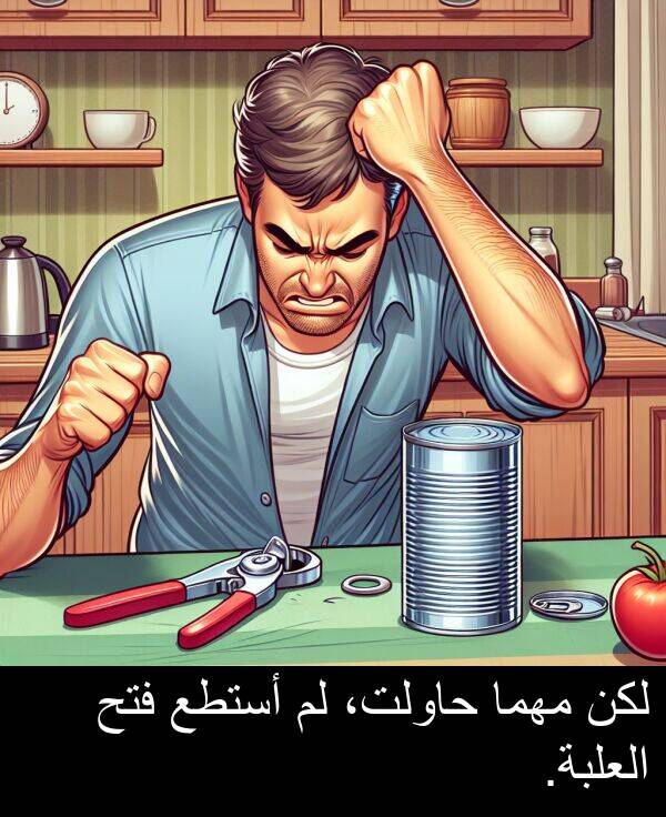 العلبة: لكن مهما حاولت، لم أستطع فتح العلبة.
