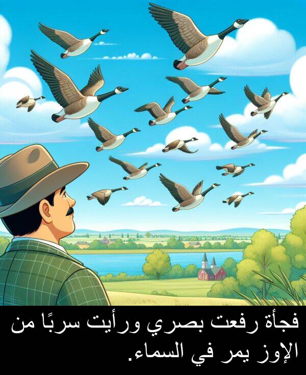رفعت: فجأة رفعت بصري ورأيت سربًا من الإوز يمر في السماء.