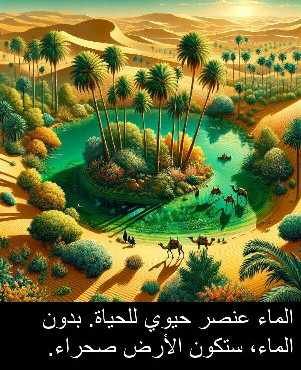 صحراء: الماء عنصر حيوي للحياة. بدون الماء، ستكون الأرض صحراء.