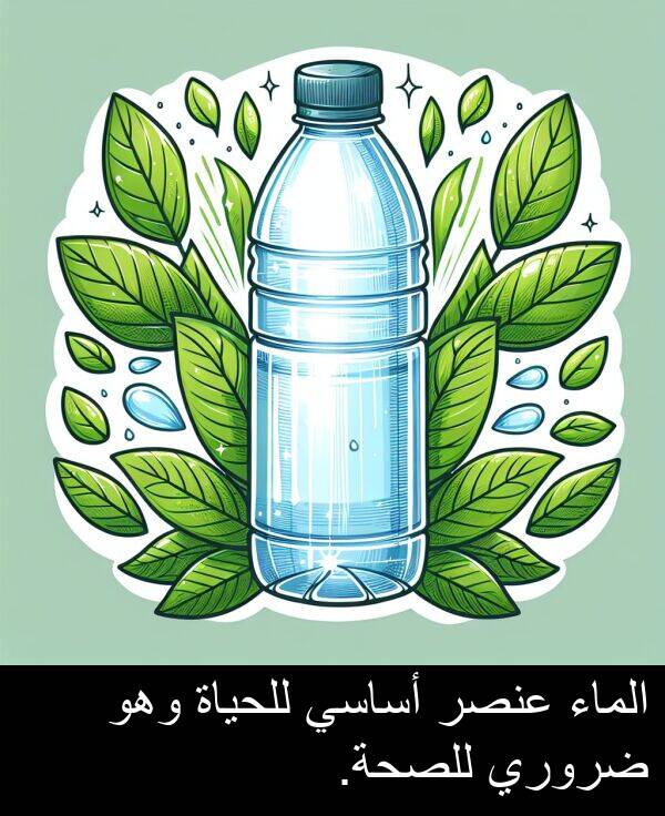 أساسي: الماء عنصر أساسي للحياة وهو ضروري للصحة.