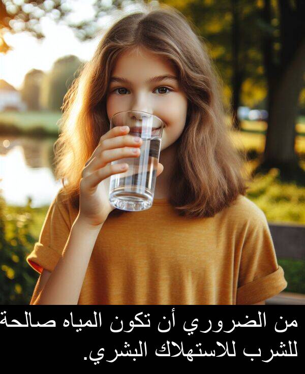 صالحة: من الضروري أن تكون المياه صالحة للشرب للاستهلاك البشري.