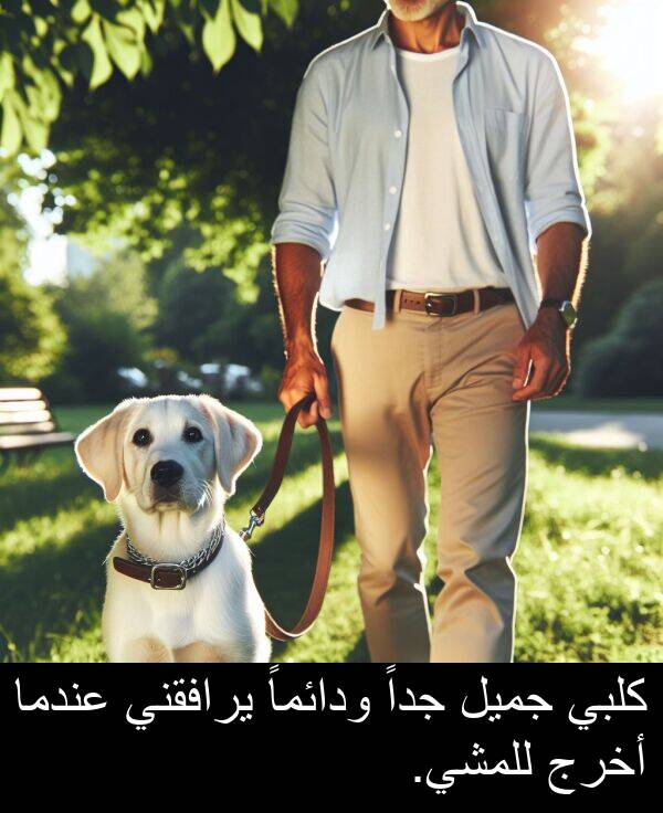 يرافقني: كلبي جميل جداً ودائماً يرافقني عندما أخرج للمشي.