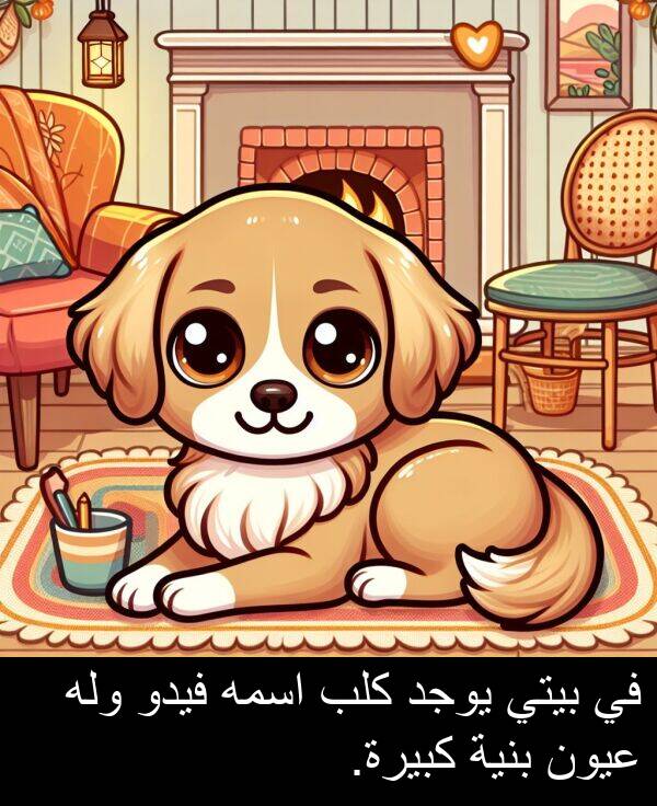 كلب: في بيتي يوجد كلب اسمه فيدو وله عيون بنية كبيرة.