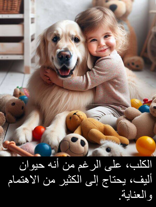 أليف،: الكلب، على الرغم من أنه حيوان أليف، يحتاج إلى الكثير من الاهتمام والعناية.