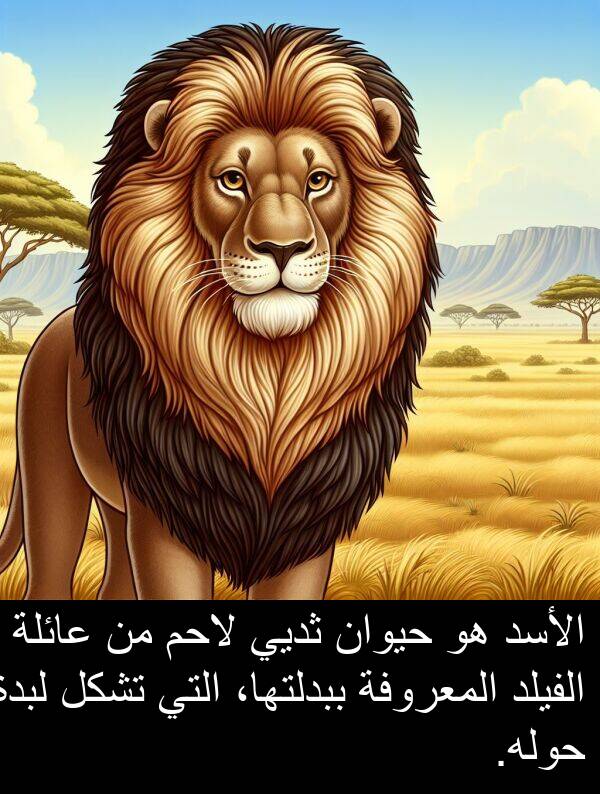 عائلة: الأسد هو حيوان ثديي لاحم من عائلة الفيلد المعروفة ببدلتها، التي تشكل لبدة حوله.