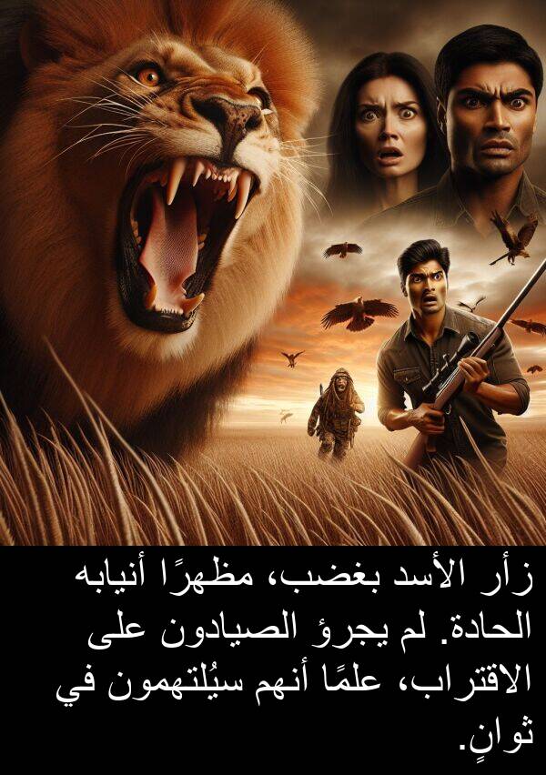 علمًا: زأر الأسد بغضب، مظهرًا أنيابه الحادة. لم يجرؤ الصيادون على الاقتراب، علمًا أنهم سيُلتهمون في ثوانٍ.