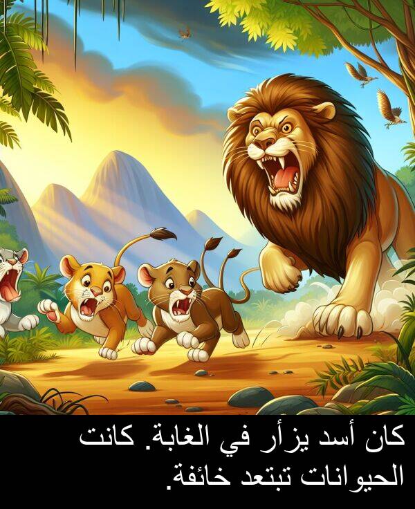 خائفة: كان أسد يزأر في الغابة. كانت الحيوانات تبتعد خائفة.