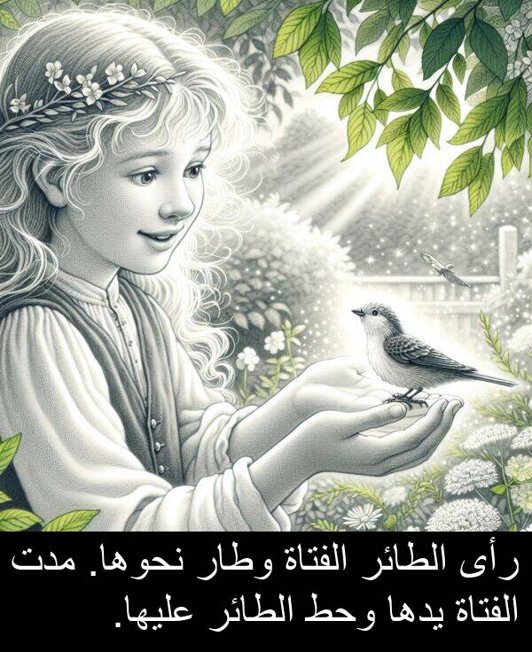 يدها: رأى الطائر الفتاة وطار نحوها. مدت الفتاة يدها وحط الطائر عليها.