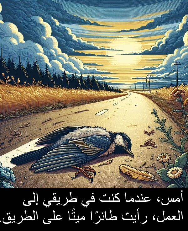 طريقي: أمس، عندما كنت في طريقي إلى العمل، رأيت طائرًا ميتًا على الطريق.