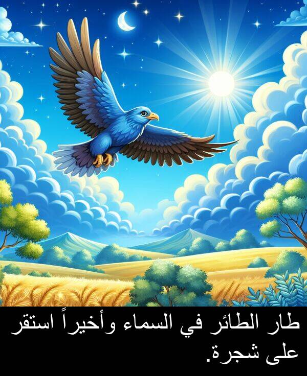 طار: طار الطائر في السماء وأخيراً استقر على شجرة.