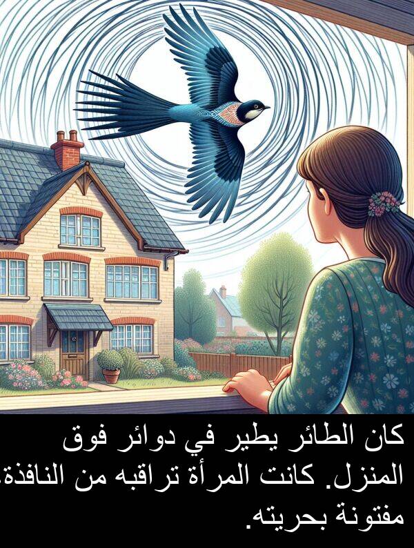 المرأة: كان الطائر يطير في دوائر فوق المنزل. كانت المرأة تراقبه من النافذة، مفتونة بحريته.