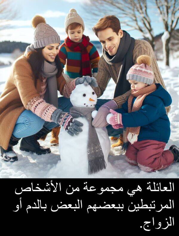 البعض: العائلة هي مجموعة من الأشخاص المرتبطين ببعضهم البعض بالدم أو الزواج.