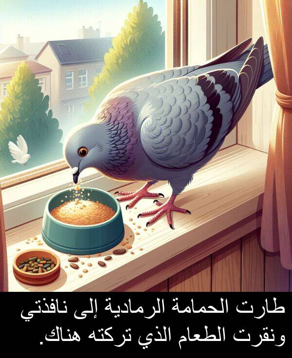 طارت: طارت الحمامة الرمادية إلى نافذتي ونقرت الطعام الذي تركته هناك.