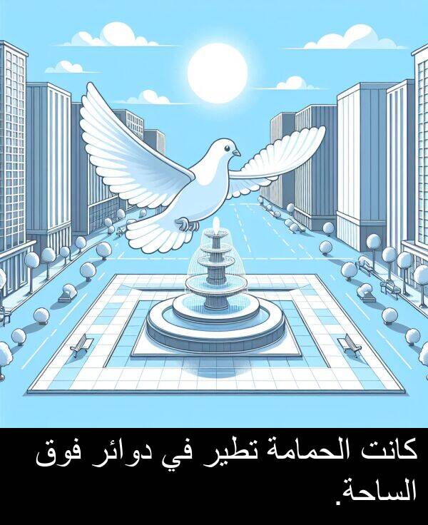 دوائر: كانت الحمامة تطير في دوائر فوق الساحة.