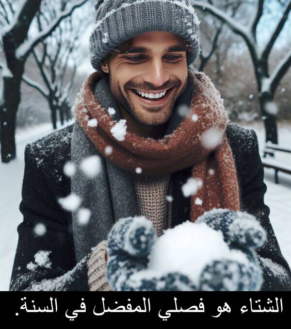الشتاء: الشتاء هو فصلي المفضل في السنة.