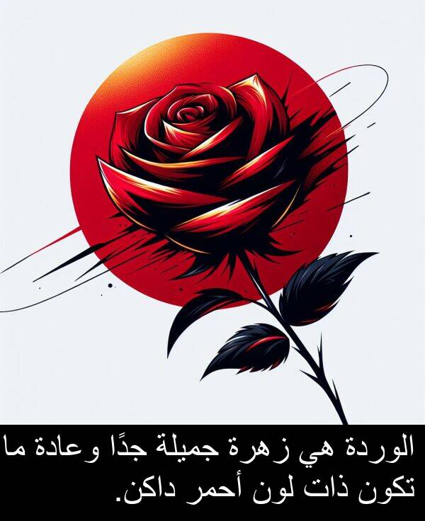 أحمر: الوردة هي زهرة جميلة جدًا وعادة ما تكون ذات لون أحمر داكن.