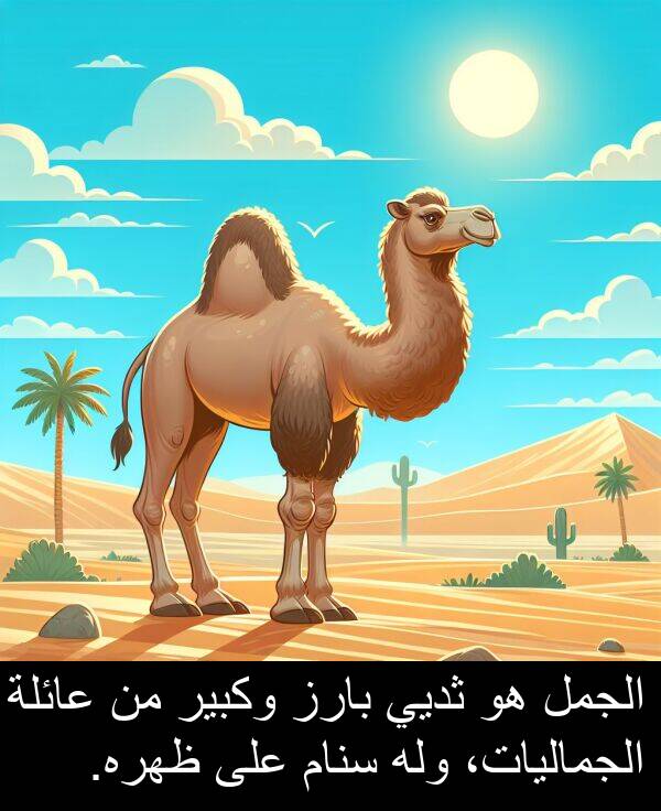 عائلة: الجمل هو ثديي بارز وكبير من عائلة الجماليات، وله سنام على ظهره.
