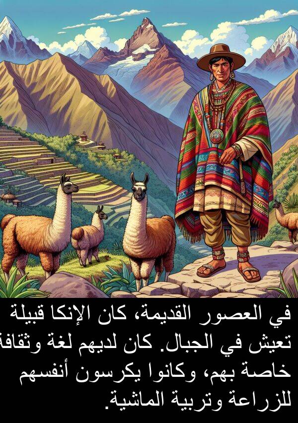 لديهم: في العصور القديمة، كان الإنكا قبيلة تعيش في الجبال. كان لديهم لغة وثقافة خاصة بهم، وكانوا يكرسون أنفسهم للزراعة وتربية الماشية.