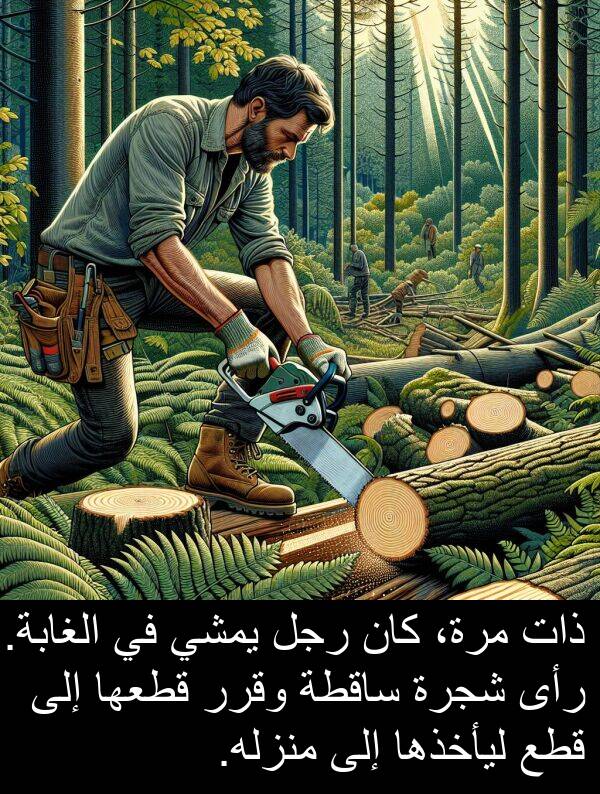 ذات: ذات مرة، كان رجل يمشي في الغابة. رأى شجرة ساقطة وقرر قطعها إلى قطع ليأخذها إلى منزله.