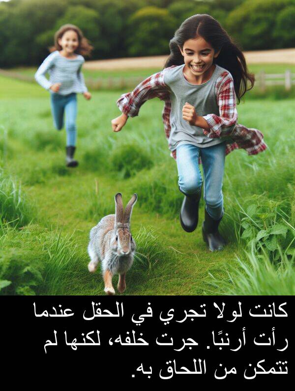 أرنبًا: كانت لولا تجري في الحقل عندما رأت أرنبًا. جرت خلفه، لكنها لم تتمكن من اللحاق به.
