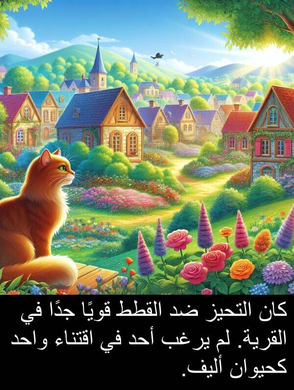 كحيوان: كان التحيز ضد القطط قويًا جدًا في القرية. لم يرغب أحد في اقتناء واحد كحيوان أليف.